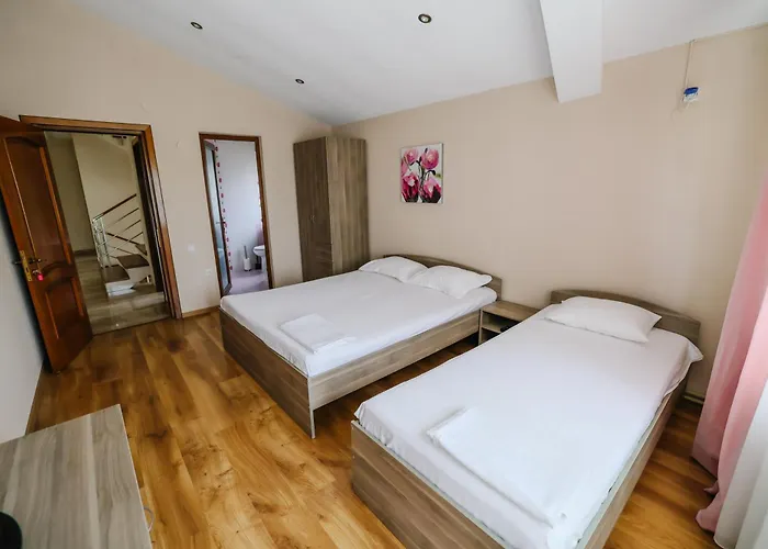 Casa de hóspedes La Turcu