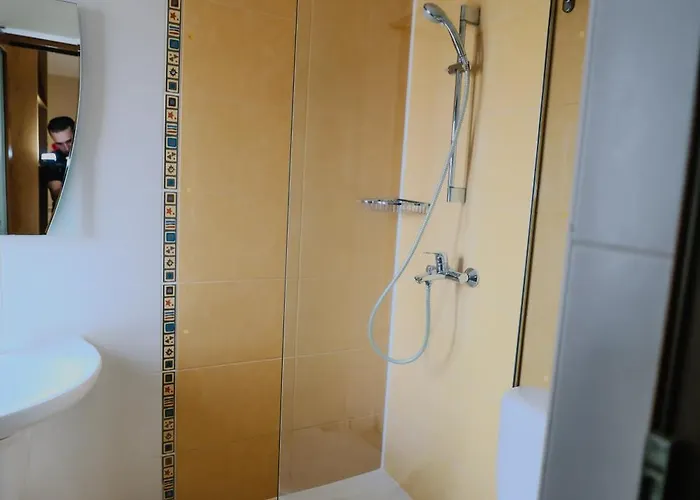 Casa de hóspedes La Turcu